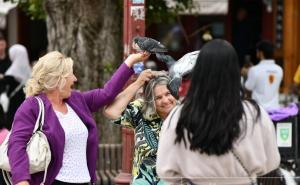 Poletjela golubica sa Baščaršije: Pogledajte sve zgode i nezgode turista s pticama